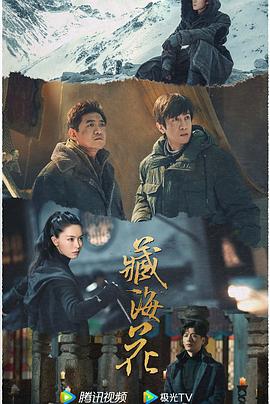 在线免费青青草 - 纯净色视频